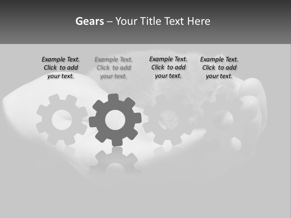 Grey Hand Kitty PowerPoint Template