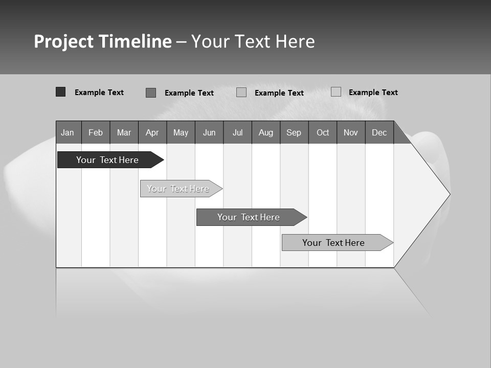 Grey Hand Kitty PowerPoint Template