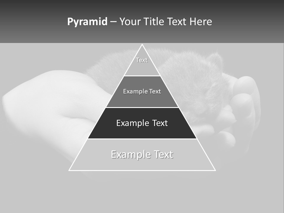 Grey Hand Kitty PowerPoint Template