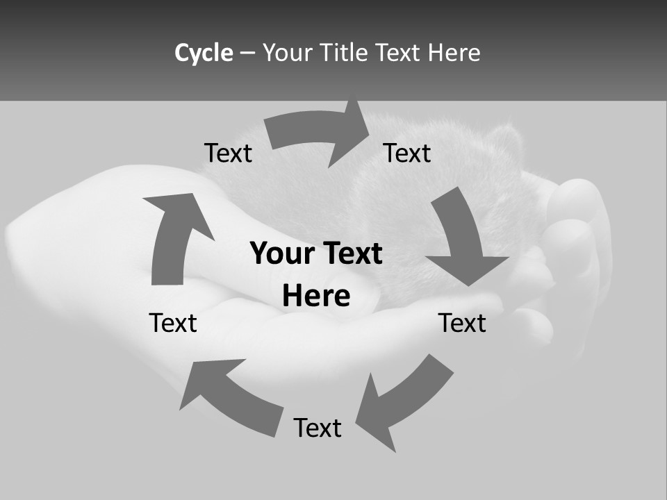 Grey Hand Kitty PowerPoint Template