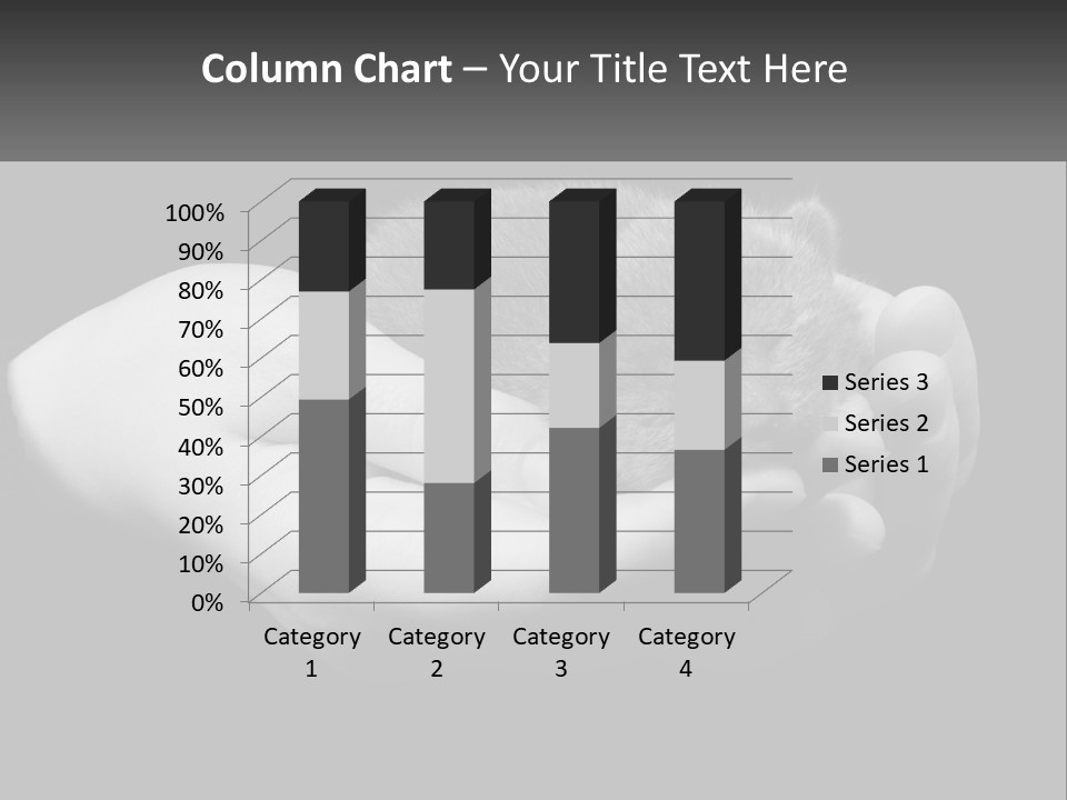Grey Hand Kitty PowerPoint Template
