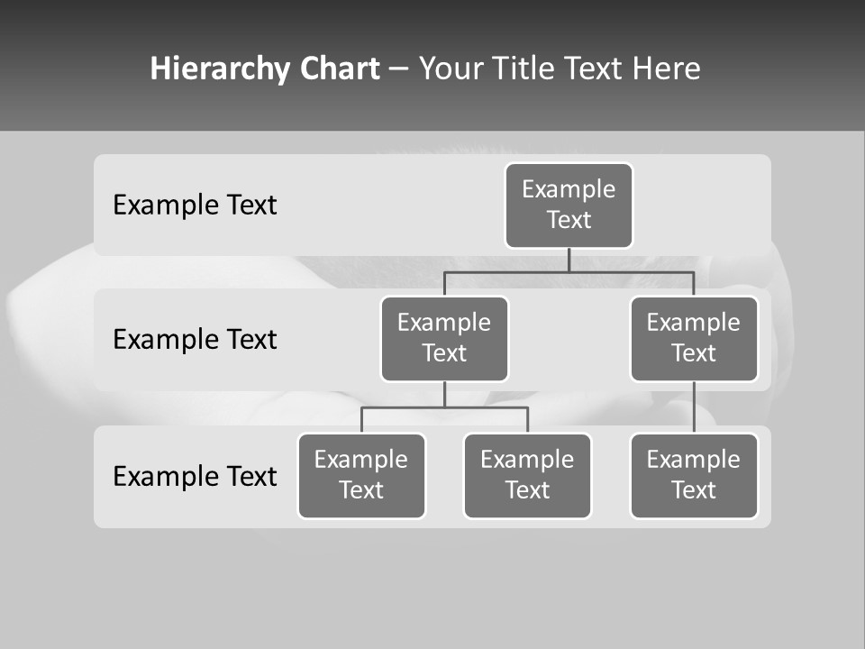 Grey Hand Kitty PowerPoint Template