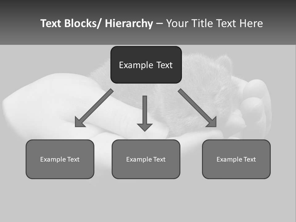 Grey Hand Kitty PowerPoint Template