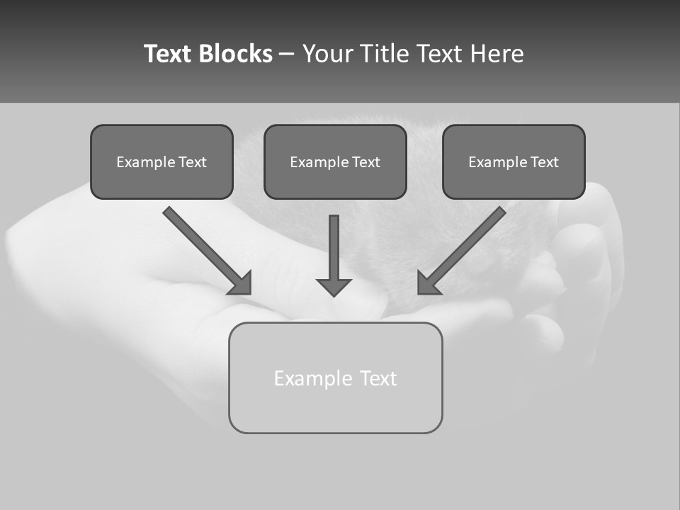 Grey Hand Kitty PowerPoint Template