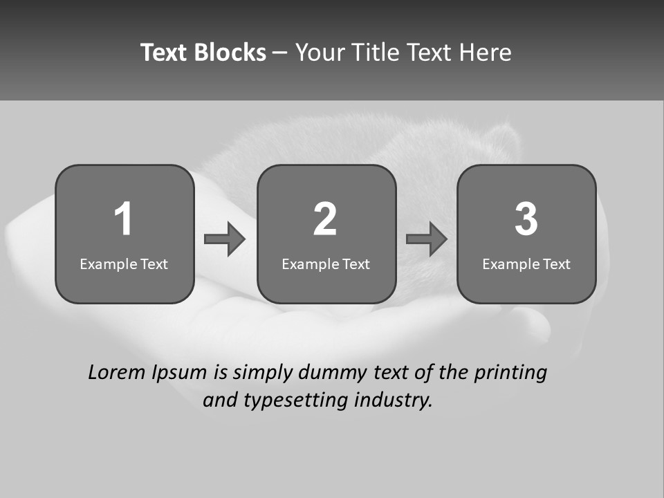 Grey Hand Kitty PowerPoint Template