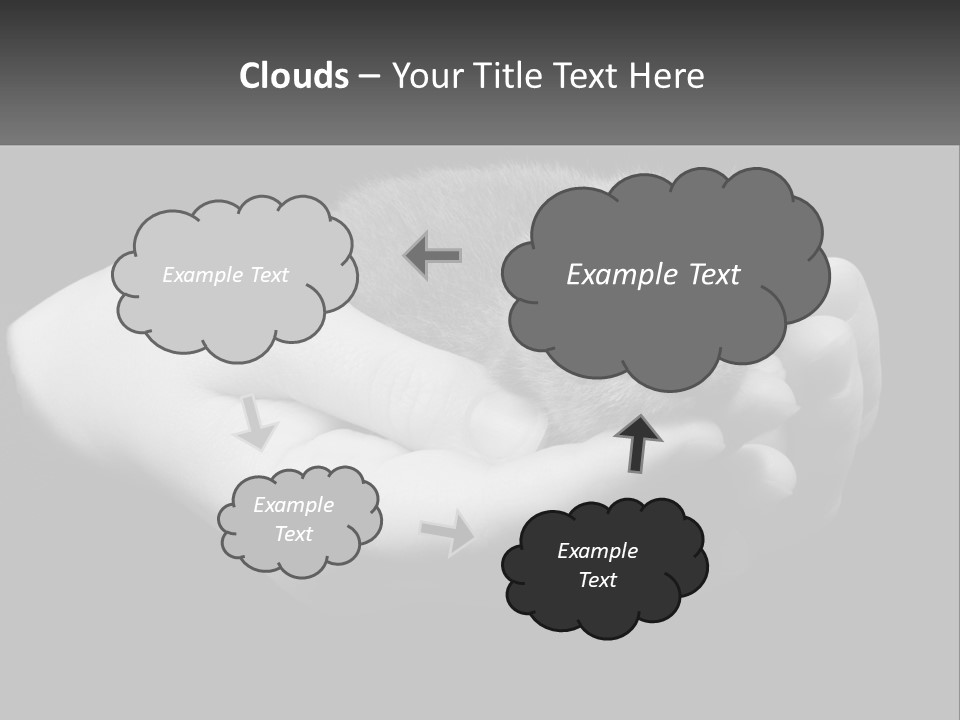 Grey Hand Kitty PowerPoint Template