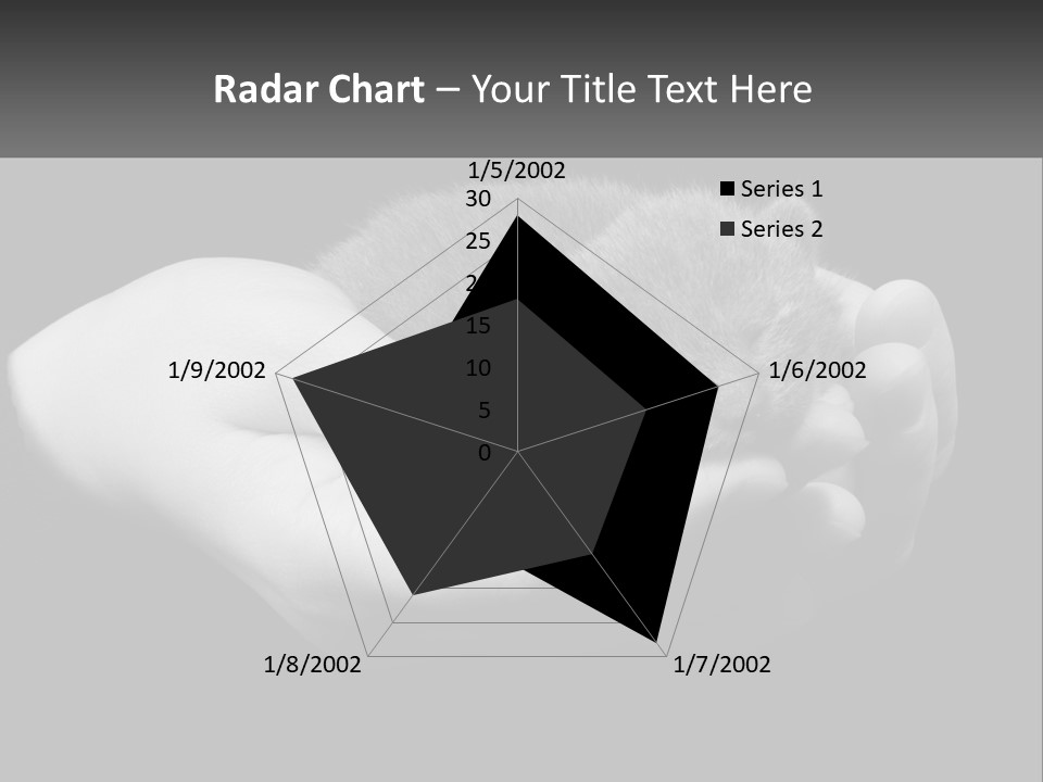 Grey Hand Kitty PowerPoint Template