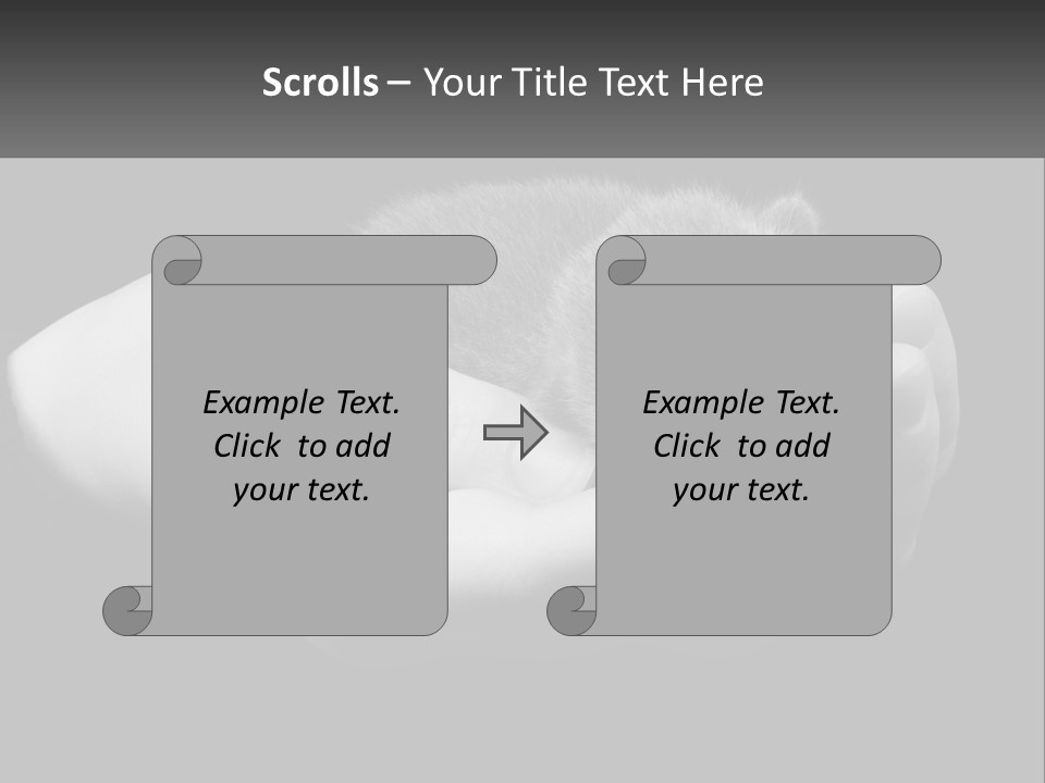 Grey Hand Kitty PowerPoint Template