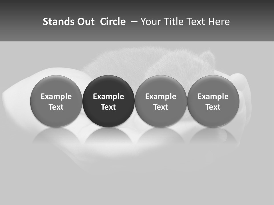 Grey Hand Kitty PowerPoint Template