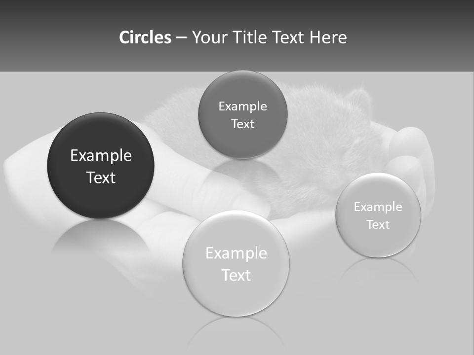 Grey Hand Kitty PowerPoint Template