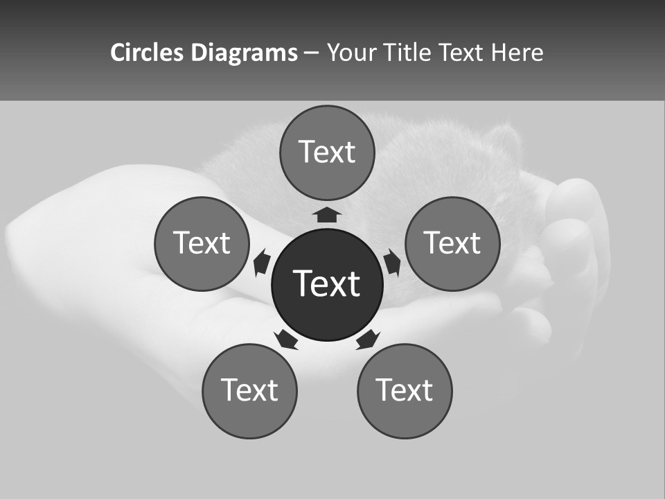 Grey Hand Kitty PowerPoint Template