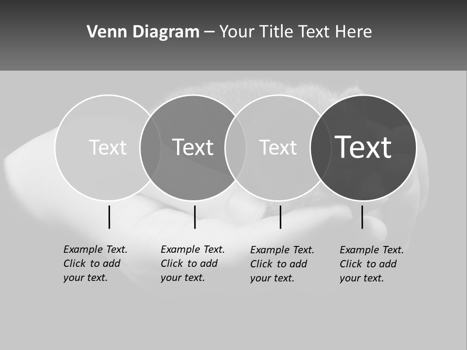 Grey Hand Kitty PowerPoint Template