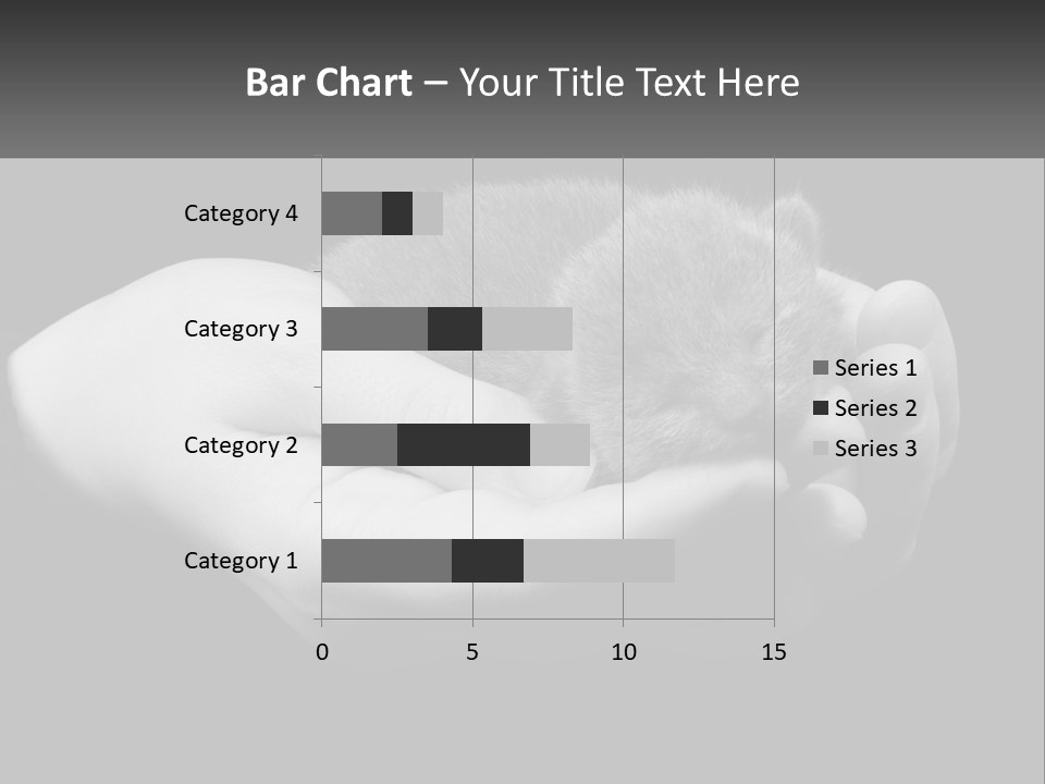 Grey Hand Kitty PowerPoint Template