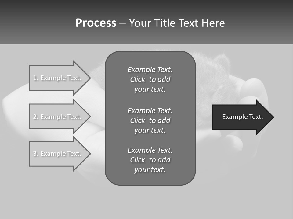 Grey Hand Kitty PowerPoint Template