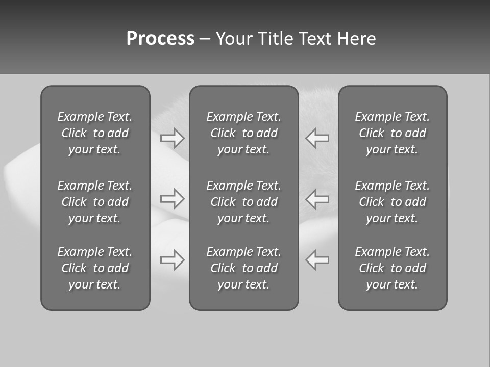 Grey Hand Kitty PowerPoint Template