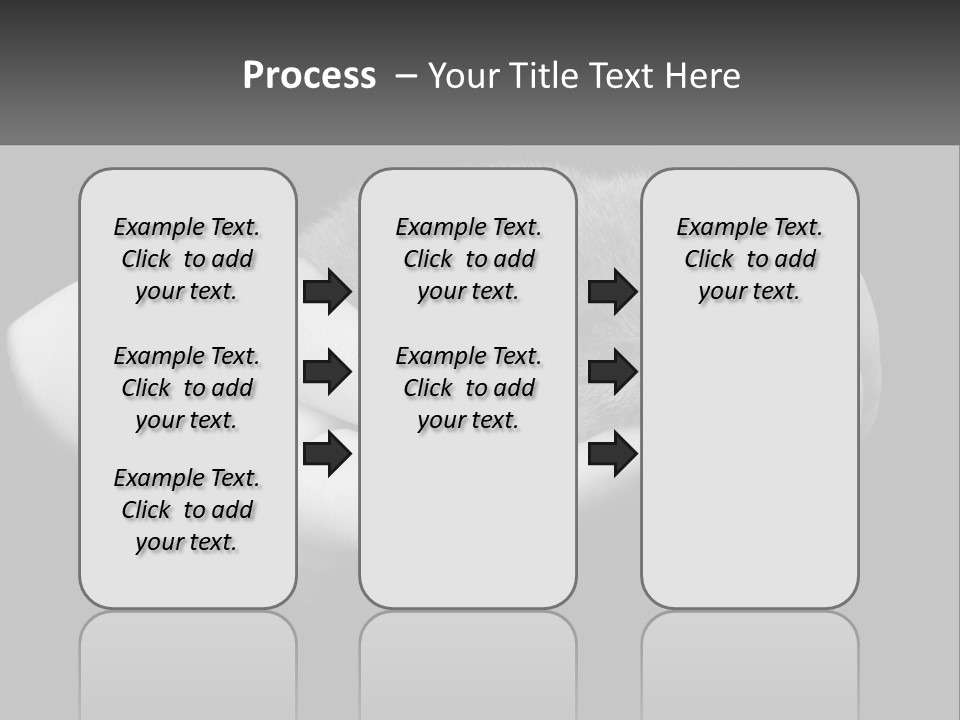 Grey Hand Kitty PowerPoint Template