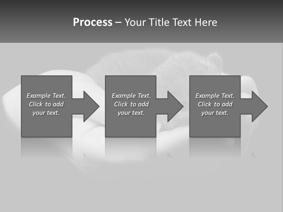 Grey Hand Kitty PowerPoint Template