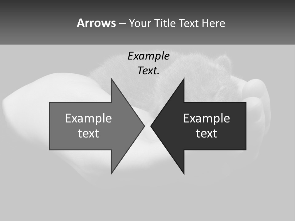 Grey Hand Kitty PowerPoint Template