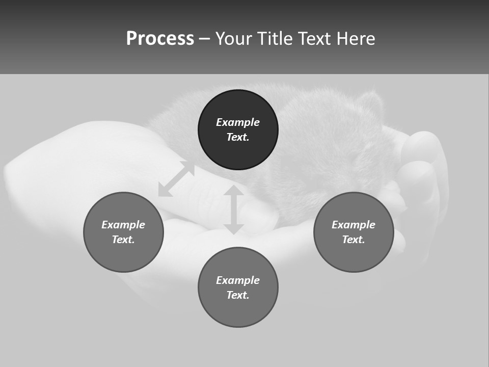 Grey Hand Kitty PowerPoint Template