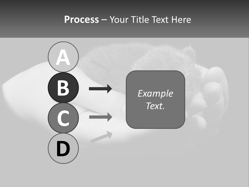 Grey Hand Kitty PowerPoint Template