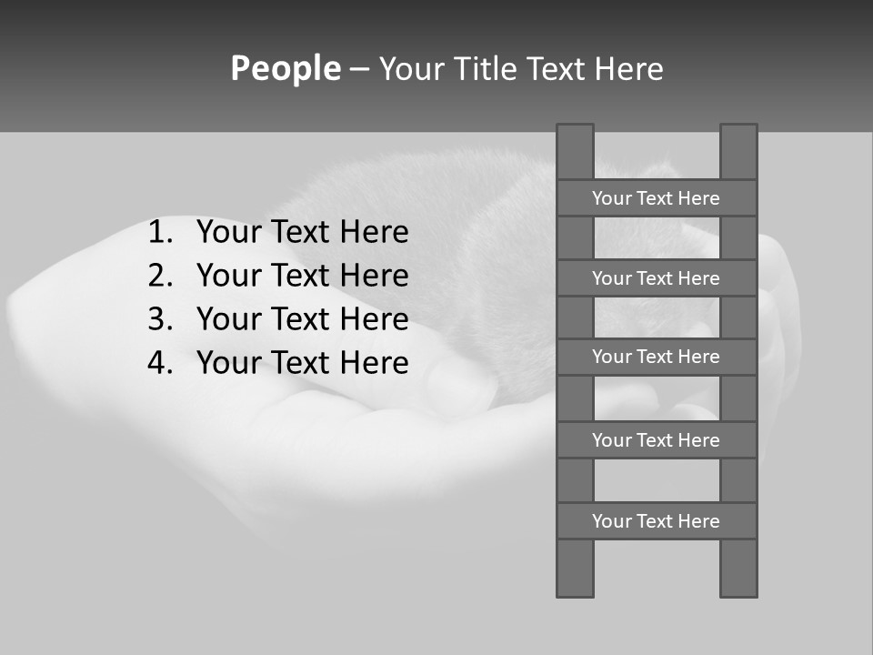 Grey Hand Kitty PowerPoint Template