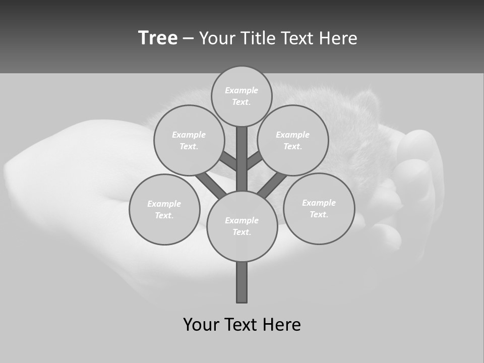 Grey Hand Kitty PowerPoint Template