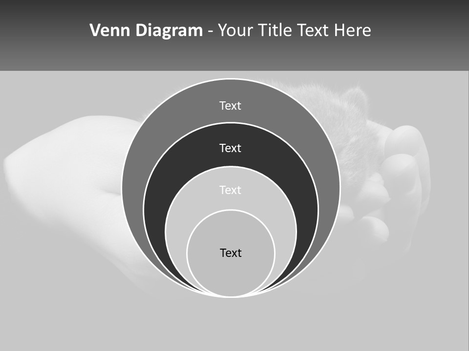 Grey Hand Kitty PowerPoint Template