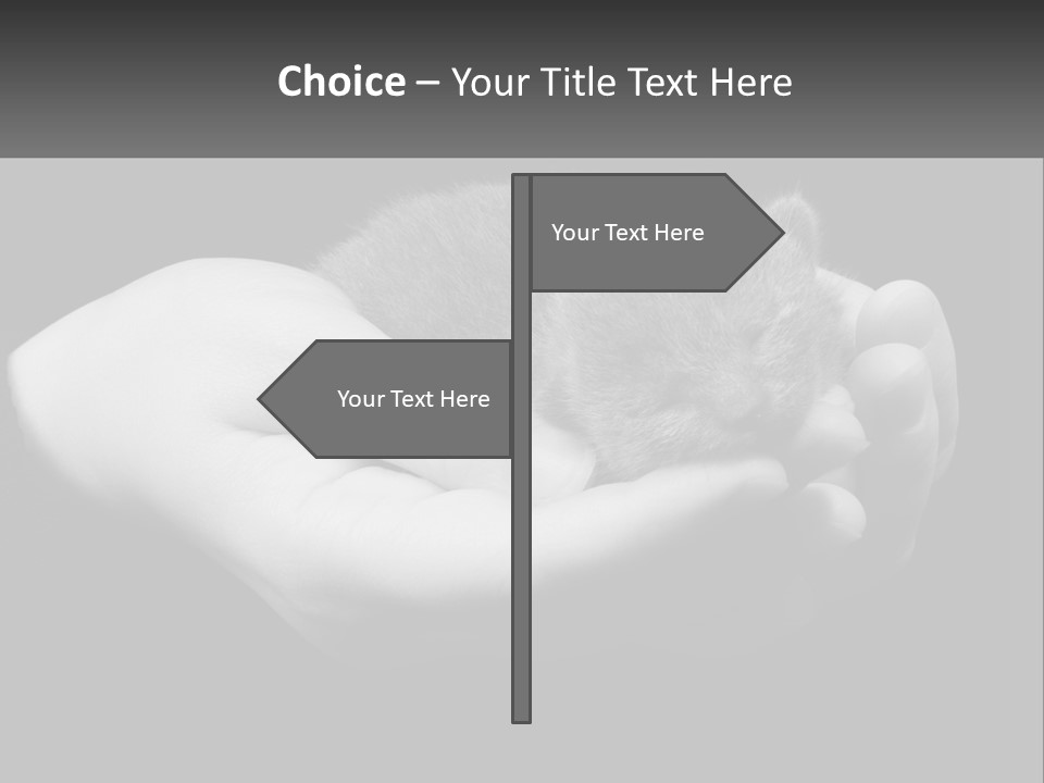 Grey Hand Kitty PowerPoint Template