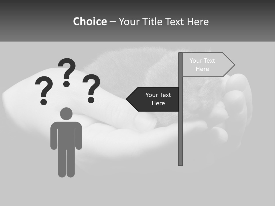 Grey Hand Kitty PowerPoint Template