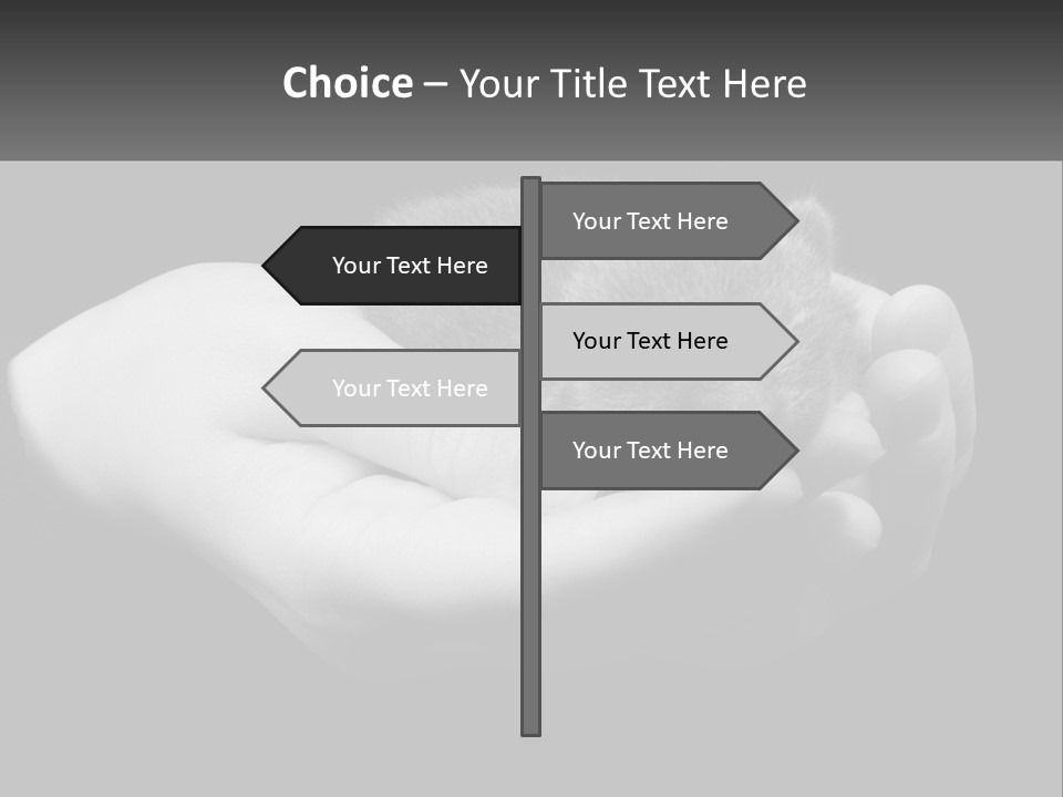 Grey Hand Kitty PowerPoint Template