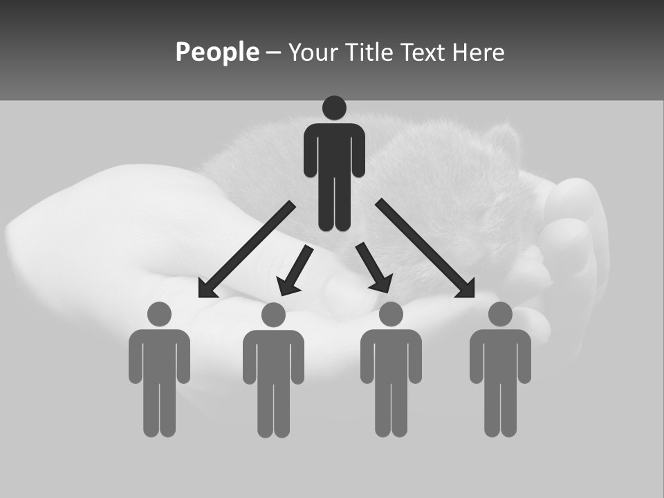 Grey Hand Kitty PowerPoint Template