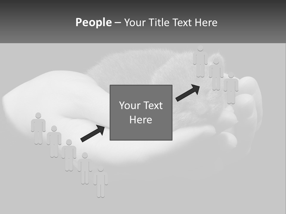 Grey Hand Kitty PowerPoint Template