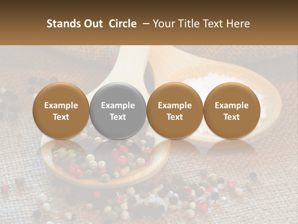 Salt Details Spice PowerPoint Template