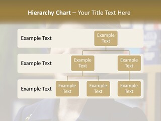 Jewelry Horizontal Lady PowerPoint Template