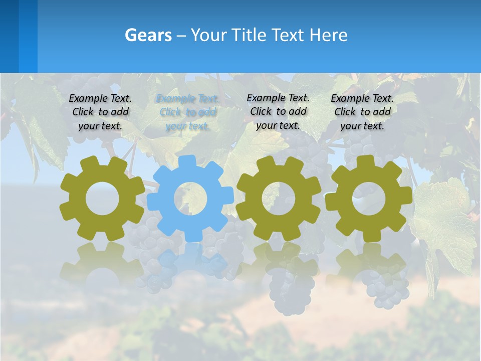 Ripened Italy Scenic PowerPoint Template