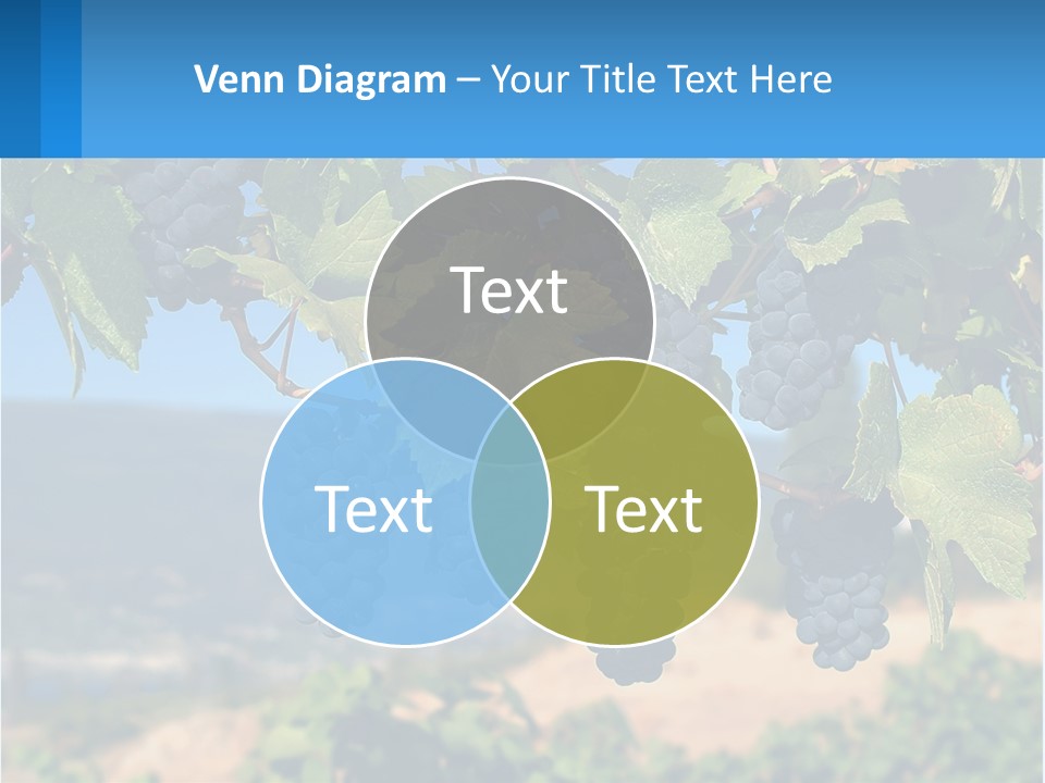 Ripened Italy Scenic PowerPoint Template