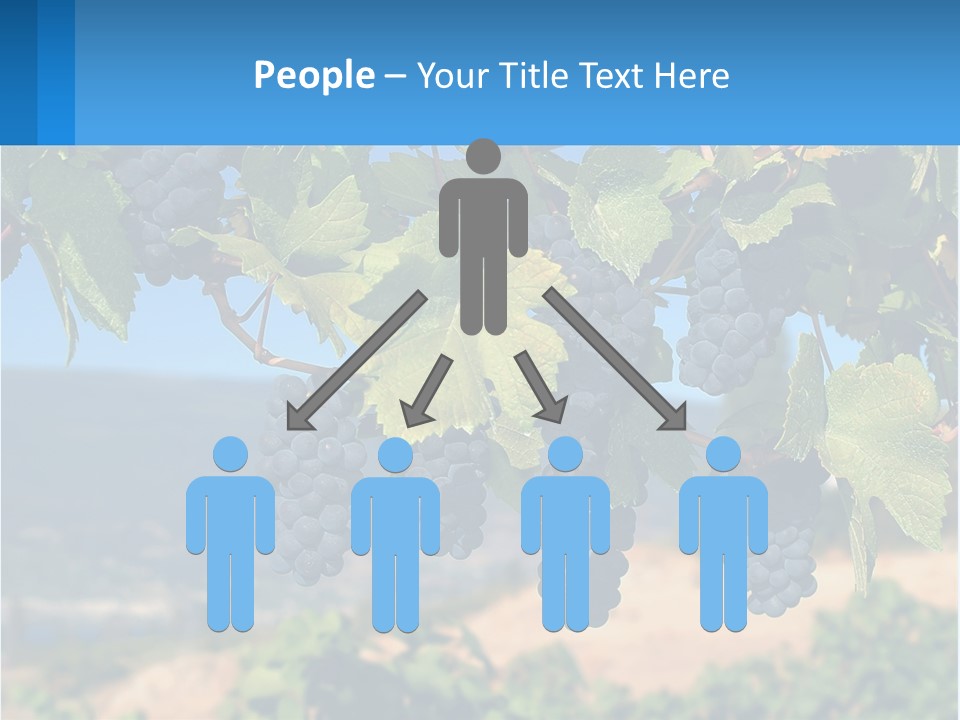 Ripened Italy Scenic PowerPoint Template