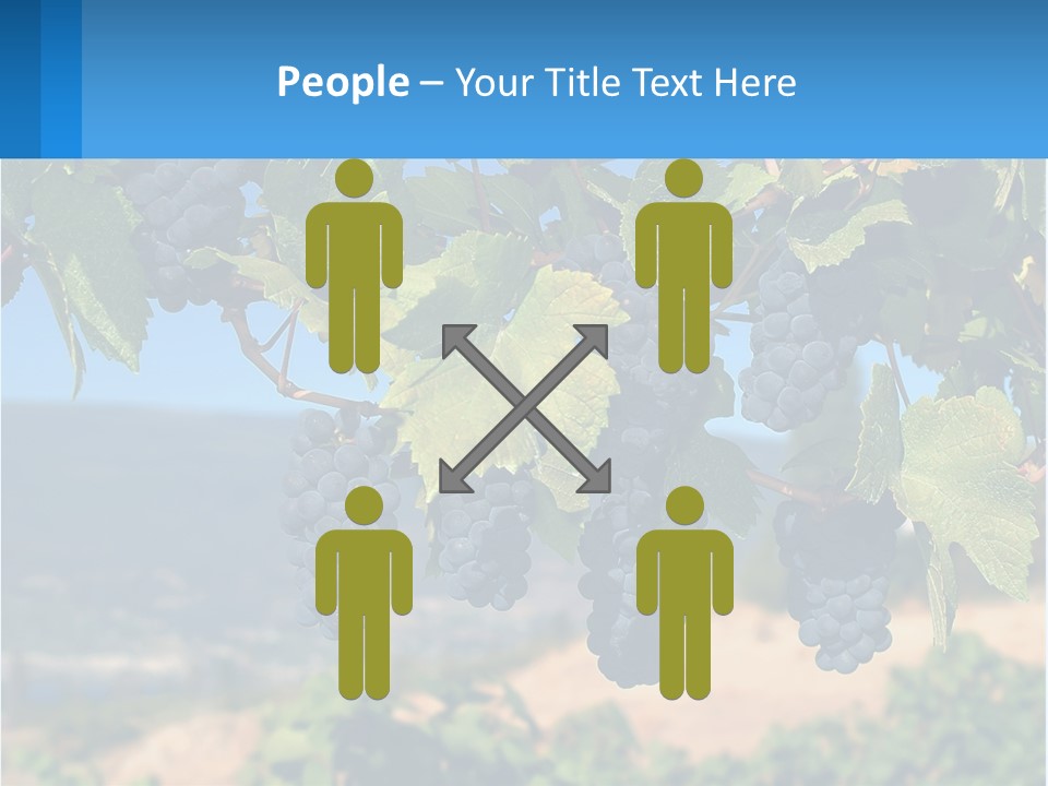 Ripened Italy Scenic PowerPoint Template