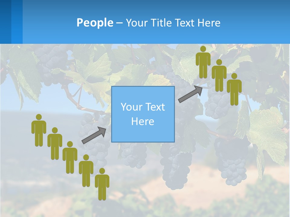 Ripened Italy Scenic PowerPoint Template