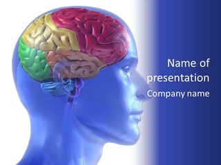 Medical Inside Creativity PowerPoint Template