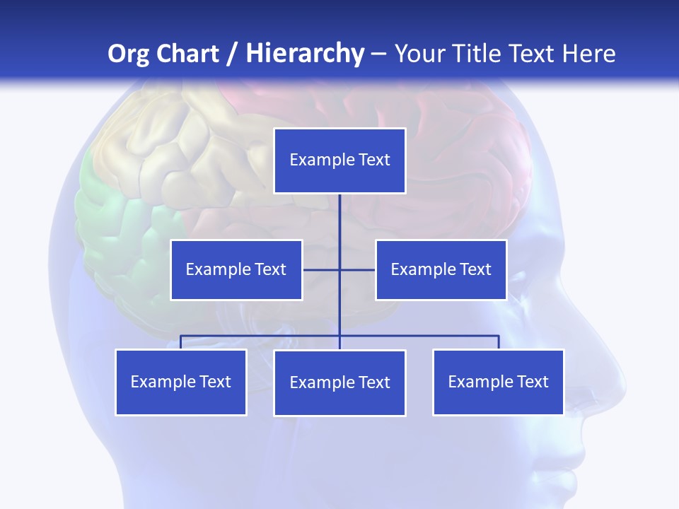 Medical Inside Creativity PowerPoint Template