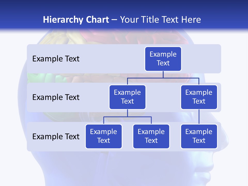 Medical Inside Creativity PowerPoint Template