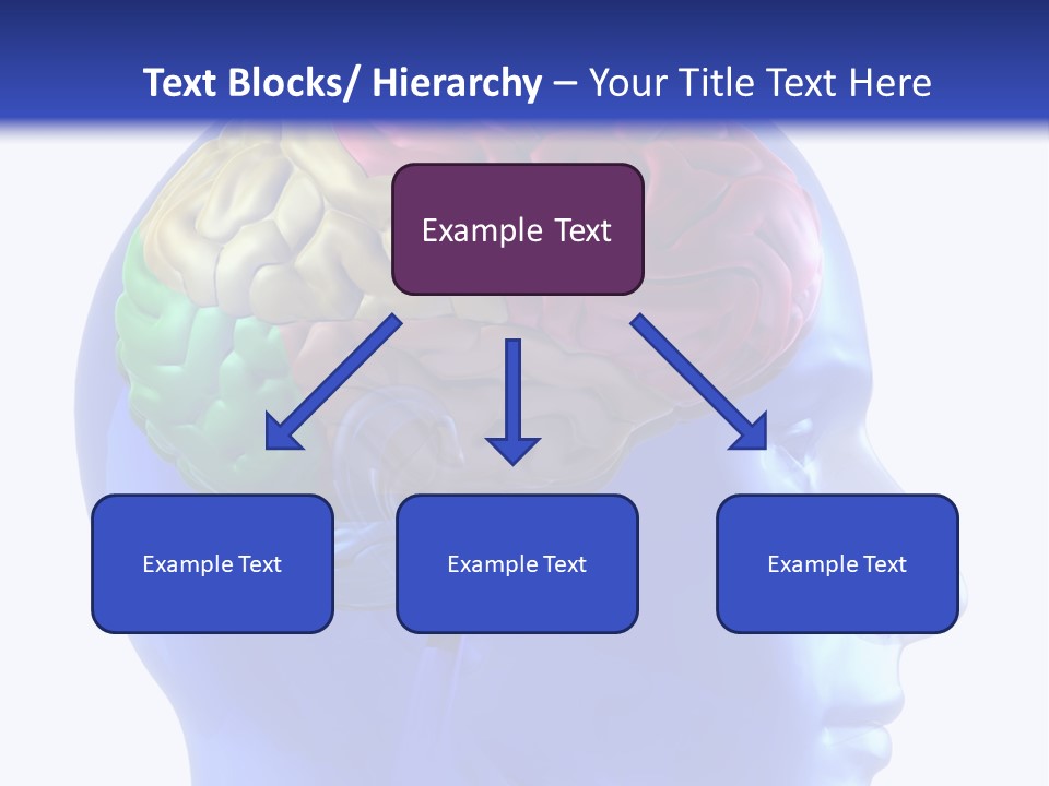 Medical Inside Creativity PowerPoint Template