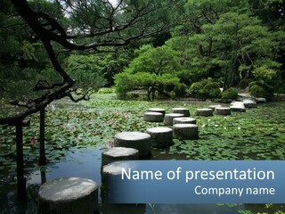 Wooden Shinto Stepping PowerPoint Template