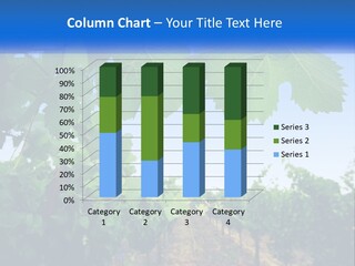 Ecology Outside Plant PowerPoint Template