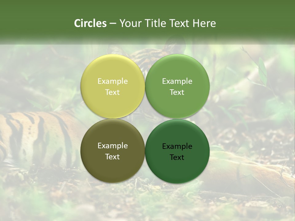 Outdoor Closeup Front PowerPoint Template