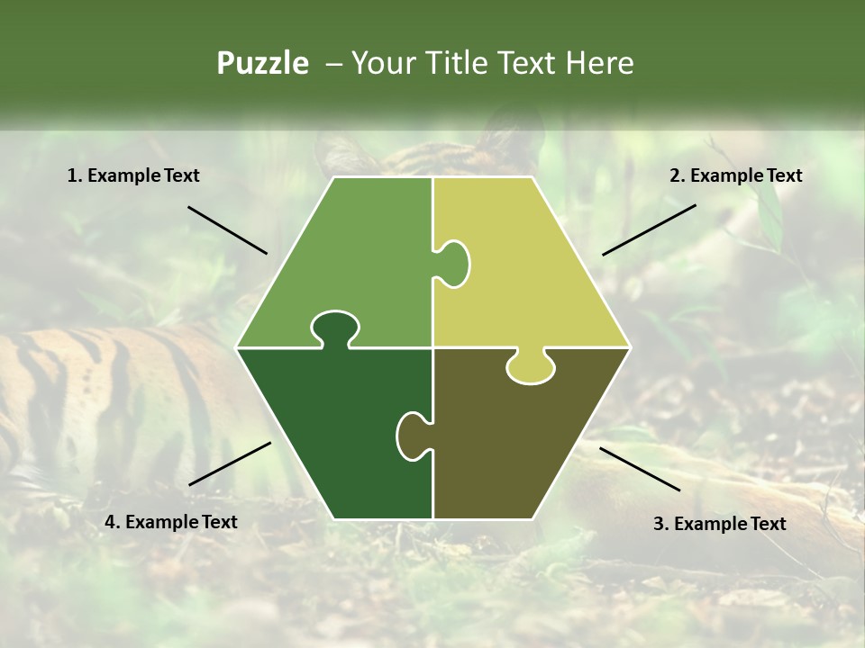 Outdoor Closeup Front PowerPoint Template