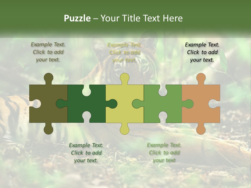 Outdoor Closeup Front PowerPoint Template