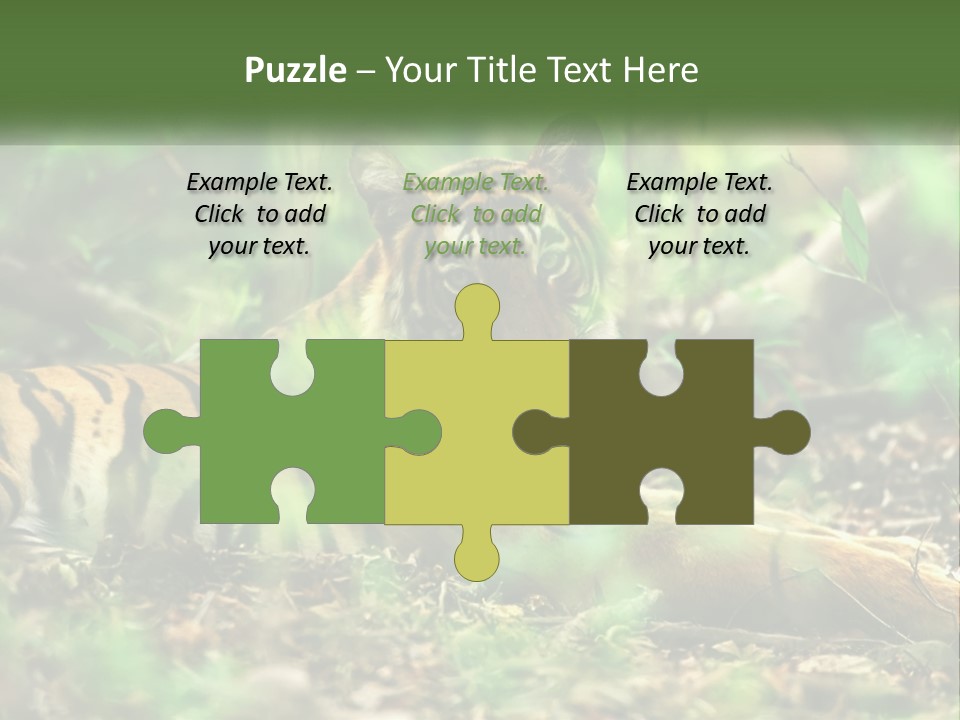 Outdoor Closeup Front PowerPoint Template