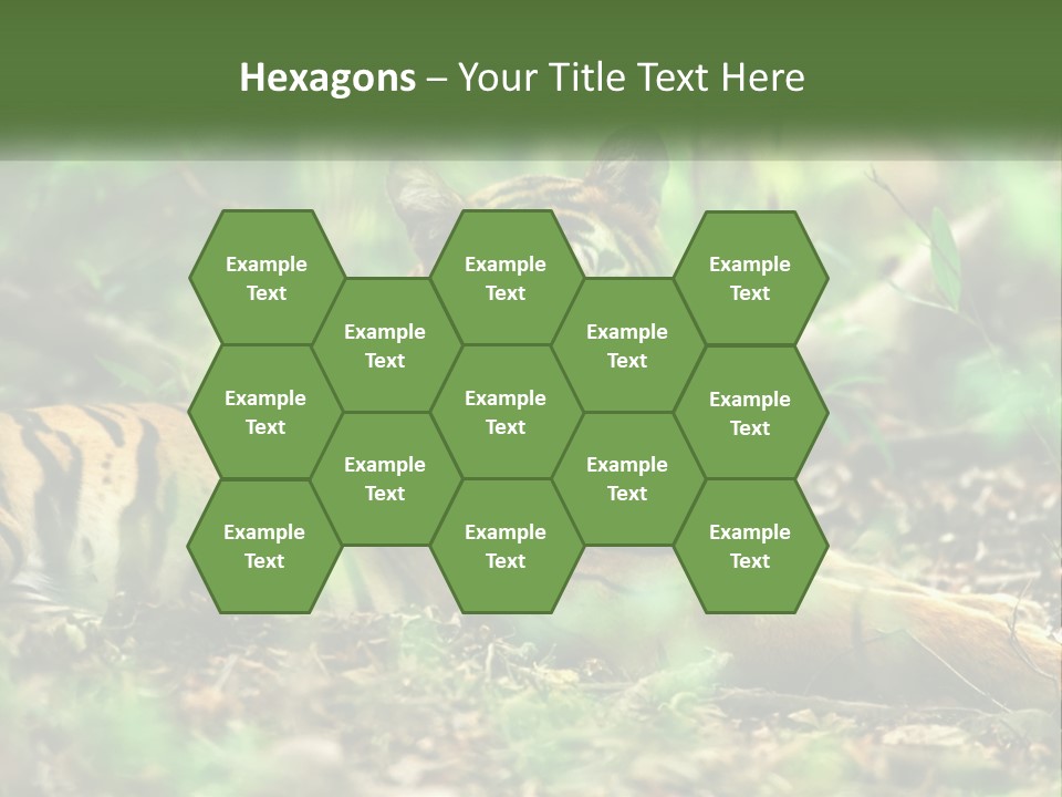 Outdoor Closeup Front PowerPoint Template